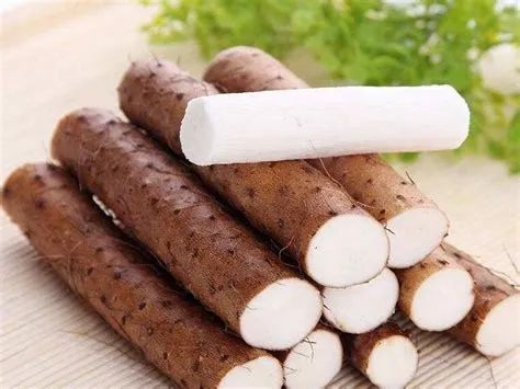 山藥養(yǎng)生：解鎖“春補(bǔ)之王”的智慧